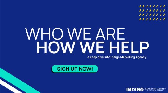How Indigo Marketing Agency Helps