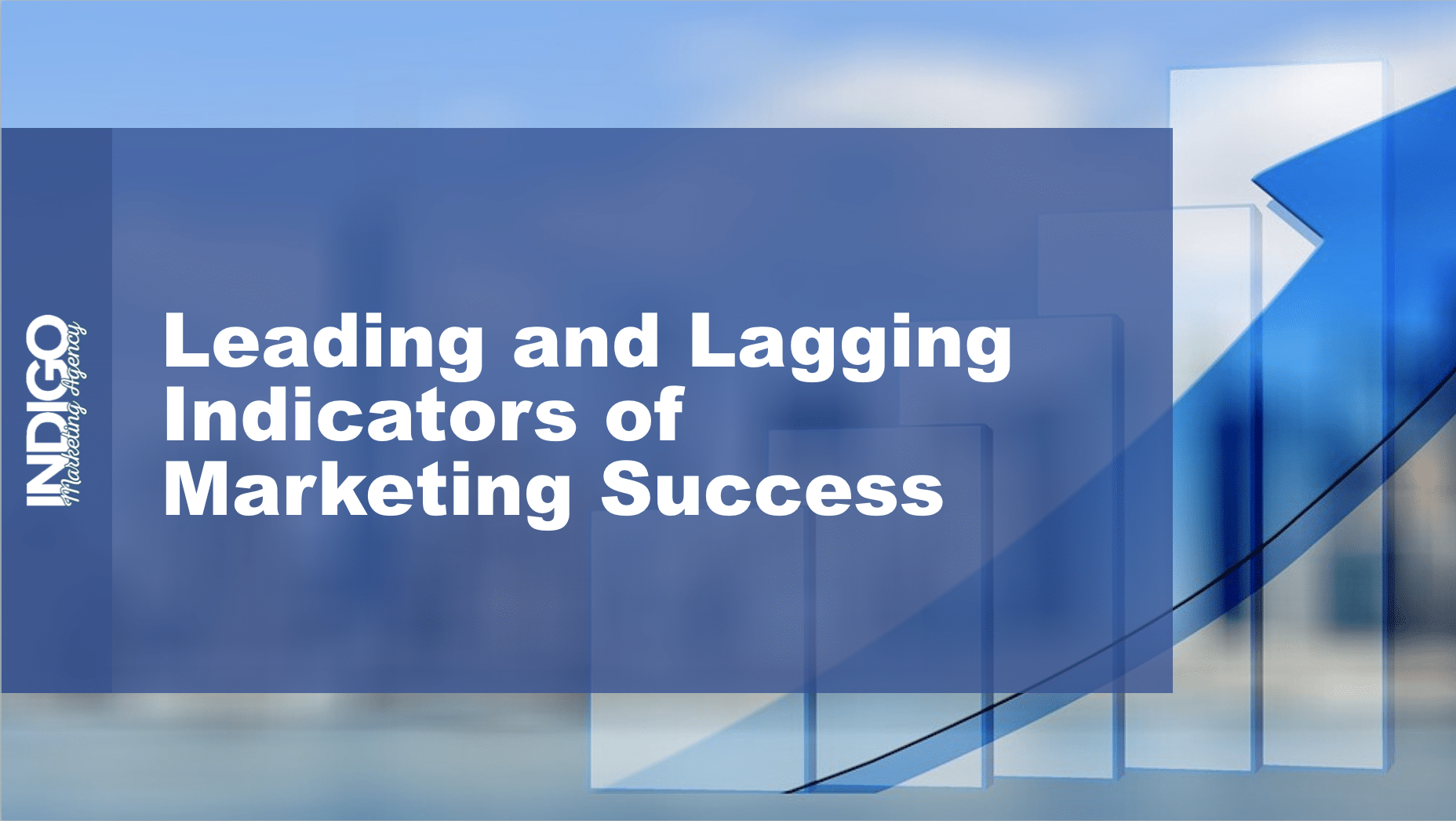 Indigo Marketing Agency